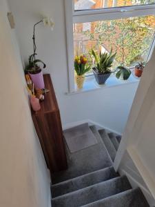 Single room in Bournemouth for female Charminster