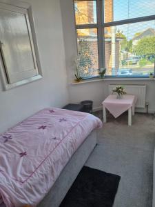 Single room in Bournemouth for female Charminster