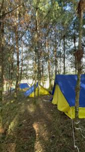 Camp Wildnest Adventures Dambuk