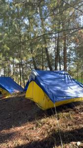 Camp Wildnest Adventures Dambuk