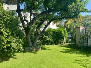 Casa con hermoso jardín y terraza