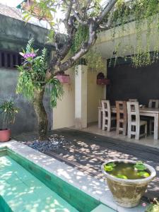 Room Valka Bali Seminyak