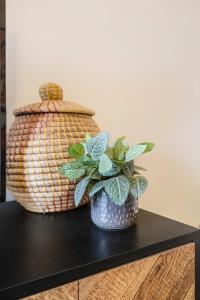 Urban Retro - Experience Vibrant Courtyard Charm