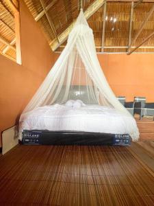 THE Drift Wood House