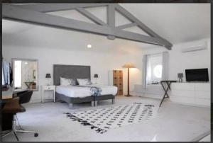 CHATEAU 18e AVEC PISCINE