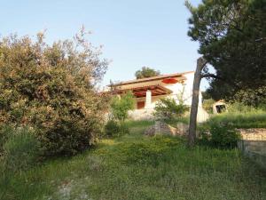 Apartment in Primosten - Sibenik Riviera 36432