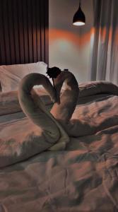 شاليهات سمو بارك