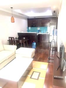 Hanoi Apartment Lion