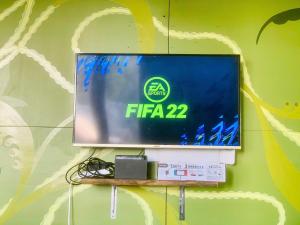 CatBa Pod Hostel & Rooftop Bar