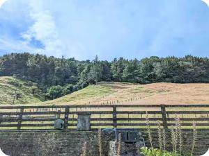 Skyline mountain view Unit 1