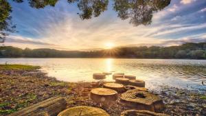 Avoca Beach Lakehouse - 450m Walk To Avoca Beach