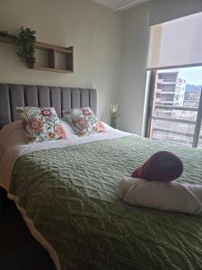 DEPARTAMENTO PROVIDENCIA AMENO Y FAMILIAR con Parcking Gratis