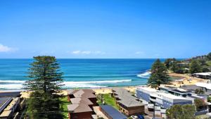 Watch The Whales - Breathtaking Views