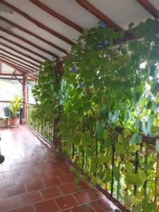 XayLa Agro Hostel Curití