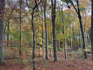 Small Oasis Near Coast And Town