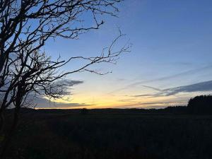 Small Oasis Near Coast And Town