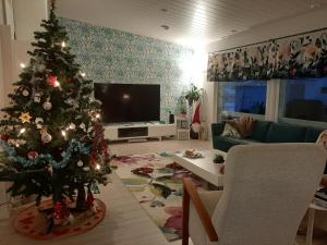 Rovaniemi Local-Style Home