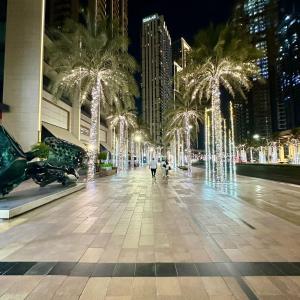 Boulevard Heights Downtown Perfect Location High floor Luxury Apartment!