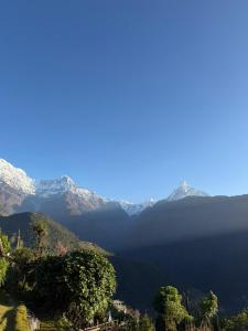 RJ Boutique Hotel - Ghandruk
