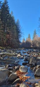Family Residence Slănic-Moldova