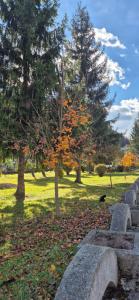 Family Residence Slănic-Moldova