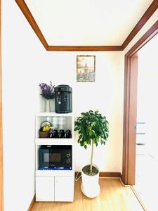 Home For You in Seoul