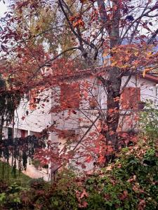 Il Bosco Guest House Subiaco