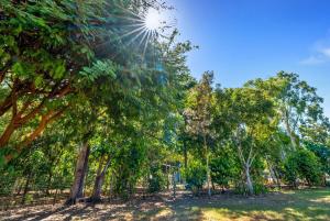 Mimpi Tropics Retreat, Holloways Beach