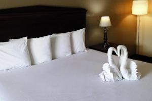 Econo Lodge Ormond Beach North - Daytona