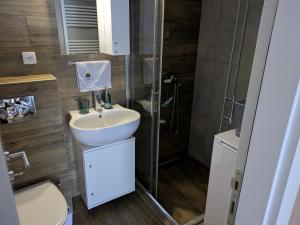 Silverpine, Kopaonik