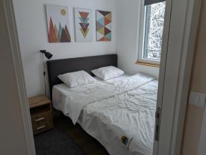 Silverpine, Kopaonik