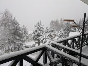 Silverpine, Kopaonik