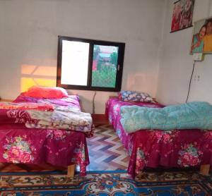 Buddhanagar Homestay