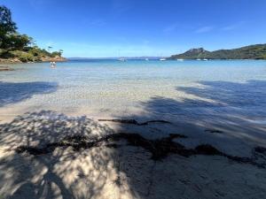 Le Cocon Provençal, T2 centre Hyères