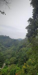 Ella Nithis Eco Cottages