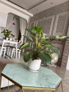 My Truong Chinh Street Homestay