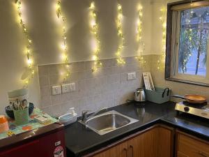 Firefly Studio Apartment