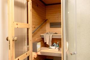 Aurora house near Santa Claus