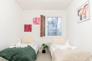 Aurora house near Santa Claus