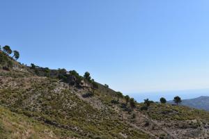 Finca La Sierra with private Pool