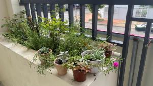 Nhà nghỉ Candys House - Cần Thơ