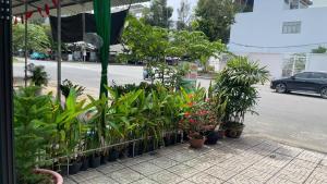 Nhà nghỉ Candys House - Cần Thơ