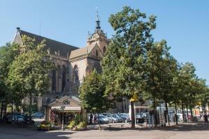 Very nice apartment - Colmar city center