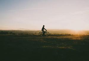 Camping Papillon Kinrooi - Pipowagen 2p terras