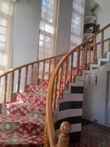 Nile Homestay