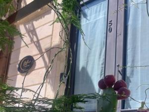 Bellini luxury suite