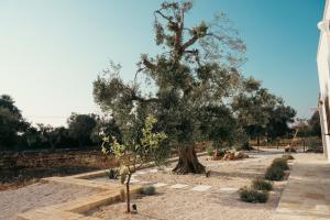 Villa Jolie con piscina