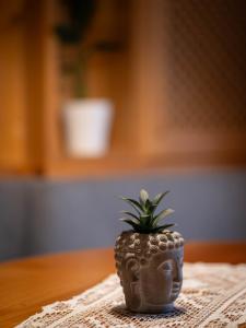 Traditional Cozy Apartment