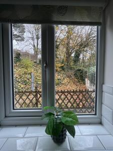 Alpine Stays - Entire home Newly refurbished