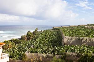 TenoHomes Casa Ela, Charming Stay Garachico